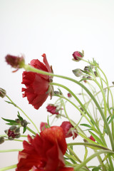 아름다운 봄 꽃들, 활짝핀 아름다운 꽃 ,꽃 오브젝트