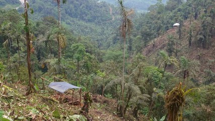 overlooking a shed used for lumber in jungle area in Ecuador