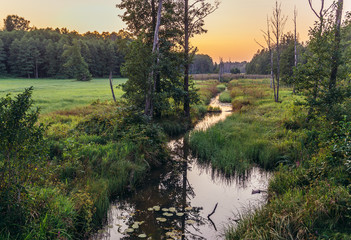 River in Bialowieza Forest