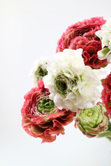 아름다운 봄 꽃들, 활짝핀 아름다운 꽃 ,꽃 오브젝트