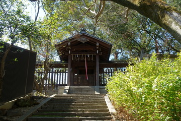 Fototapeta premium 京都、今宮神社のある月読社です