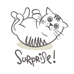 Surprise! Very surprised fat cat, vector illustration.