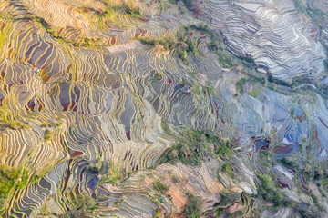 terraced field texture background