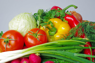 Appetizing vegetables on a light background