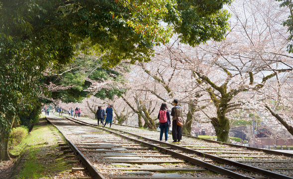 People walking at Keage incline (old railway track) under cherry trees blooming in Kyoto, Japan