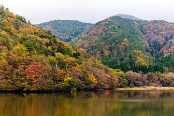紅葉と湖面