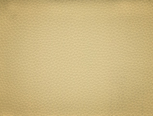 An image of a nice leather background. Cowhide texture.