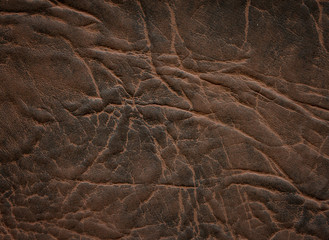 An image of a nice leather background. Cowhide texture.
