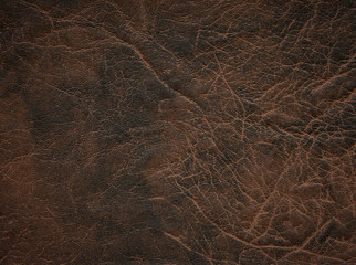 Fototapeta na wymiar An image of a nice leather background. Cowhide texture.