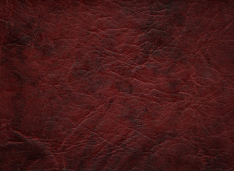 An image of a nice leather background. Cowhide texture.