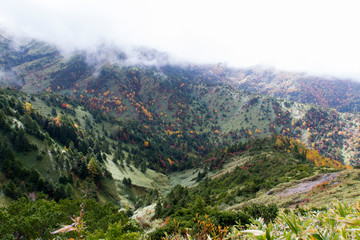 Naklejka premium 志賀高原の紅葉／長野県山ノ内町