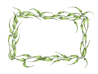 Watercolor hand painted banner with green leaves and branches isolated on white background. Spring or summer flowers for invitation, wedding or greeting cards. Green leaves wreath.