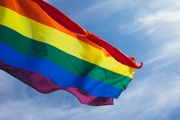 LGBT flag