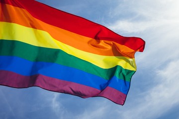 LGBT flag