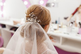Wedding hairstyle with veil rear view
