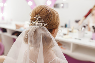 Wedding hairstyle with veil rear view