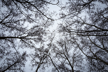 Branches in the Frankfurt Bockenheim area