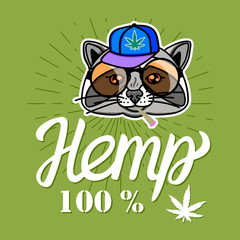 Raccoon boy in cool hip hop style. Vector for print on T-shirts and other souvenir products. Hemp lettering isolated on green background