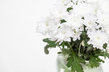 Bouquet of white flowers Chrysanthemums in vase on white background