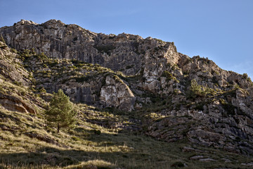 Lone tree on side of a hill with rocks and grass, blue skies, betlem, mallorca, spain.