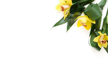 Flowers composition. Orchid flowers on white background. Flat lay, top view, copy space. - Image