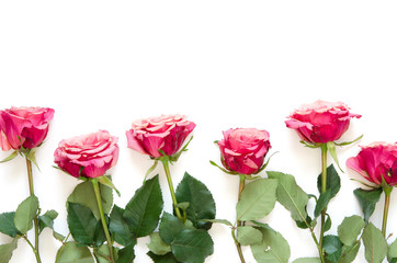 Flowers composition. Roses flowers on white background. Flat lay, top view, copy space. - Image