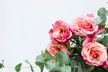 Flowers composition. Roses flowers and branch eucalyptus on white background. Top view, copy space. - Image