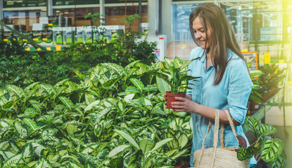 Obraz premium Beautiful girl customer chooses ficus plants in the retail store. Gardening In Greenhouse. 