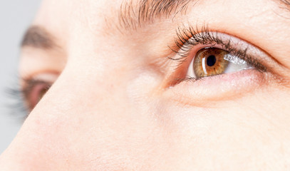 Fototapeta na wymiar beautiful eyes macro close-up shot 