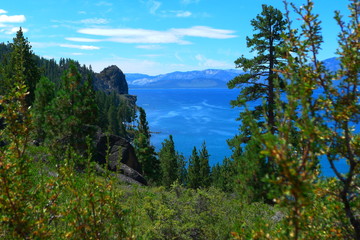 Obraz premium trees in the mountains