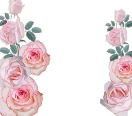 Banner with roses vector illustration