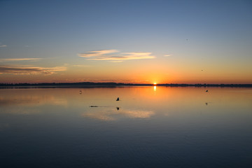 Sunrise on a lake in Florida with a silhouette of an alligator and birds
