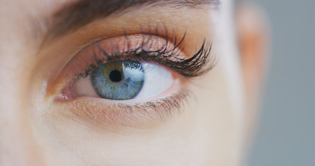 Fototapeta Macro close up of beautiful female blue eye with perfect natural makeup looking  in camera. obraz