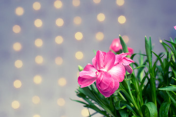 Pink flower with pink bokeh background