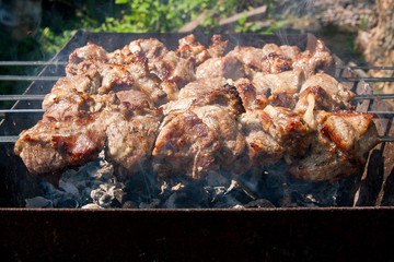 Traditional eastern dish, shish kebab. Roasted meat cooked at barbecue with smoke. .