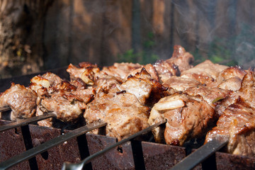 Traditional eastern dish, shish kebab. Roasted meat cooked at barbecue with smoke. .