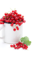 White cup with red currant berry in it and small bunch of red currant with green leaf  isolated on white..