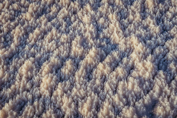 Details of rock salt on a shore of Dead Sea in Jordan