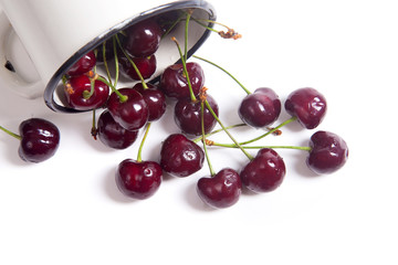 Red sweet cherry in white cup isolate on white.
