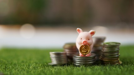 The tallest of the towel coin growth up is overlaid with gold and piggy. Financial growth up.