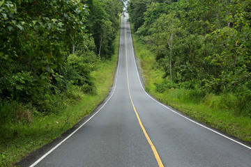 Obraz premium Paved road amidst forests and mountains.
