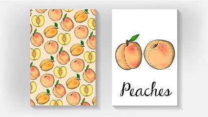Vector Illustration of Peaches Card Template Sketch Style