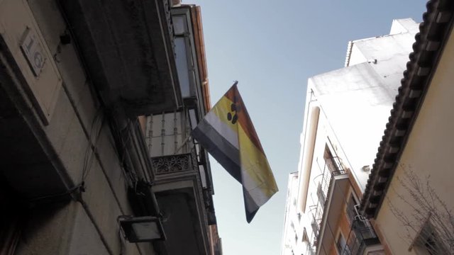 Bear flag in Chueca , Madrid gay area