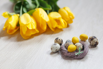Easter background with Easter eggs in nest and yellow tulips on wooden table. Shallow dof