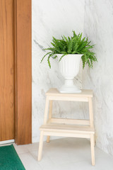White classic vase for plant on clean wooden stair step stool in front of the house with door and welcome mat