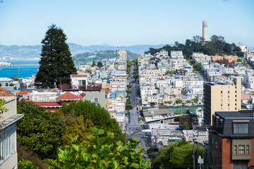 View of San Francisco skyline at Lombard Street toward San Francisco Bay in downtown North Beach community showing Fisherman's Wharf and Coit Tower