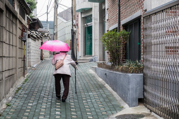 Elder hunchback lady holding umbrella walking in small alley