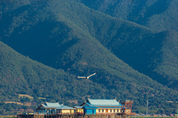 Fototapete bei efototapeten.de bestellen   