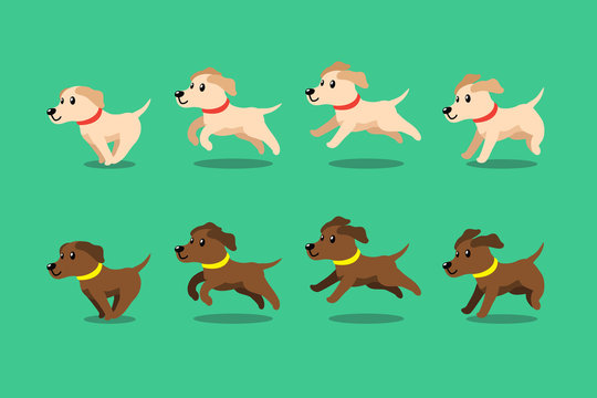 Dog Running Vector Images – Browse 1,001 Stock Photos, Vectors, and Video |  Adobe Stock
