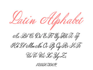 Latin alphabet classical calligraphy and lettering. Wedding font.